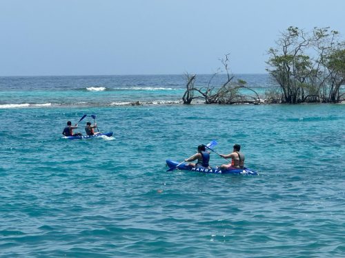 Actividades acuáticas en kayak y paddleboard en el Caribe.