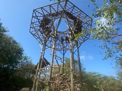 aviario en baru cartagena