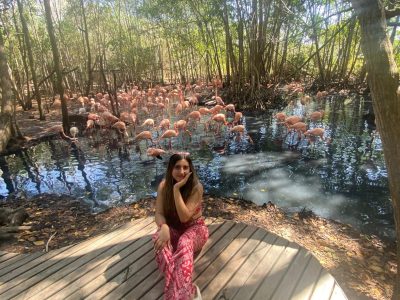 Disfrutando aviario nacional baru
