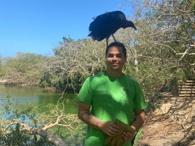 show de aves aviario nacional