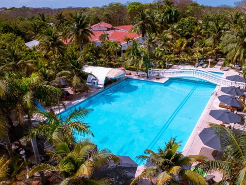 Piscina rodeada de vegetación tropical en Cocoliso Island